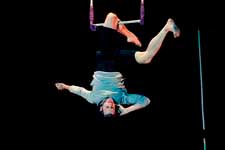 contemporary circus
