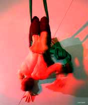silks performance